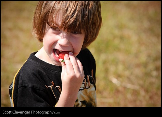 Strawberry Time!