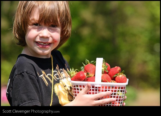 Strawberry Time!