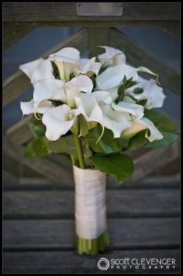 Claire and Tim Wedding - Scott Clevenger Photography