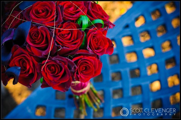 Sarah and Ryan Wedding - Scott Clevenger Photography