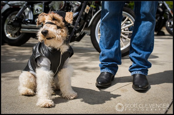 Ray Price Harley Davidson Open House by Scott Clevenger Photography